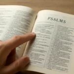 como buscar el salmo 91 en la biblia
